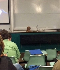 Good afternoon class today we are going to learn what it takes to be a good boy