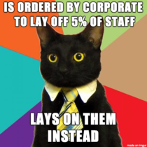 Good Guy Business Cat