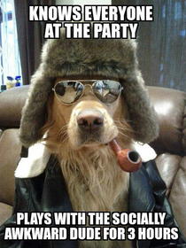 Good guy dog at a party