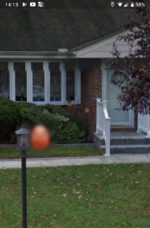 Google maps blurred out the pumpkins face 