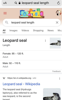 Google thinks seals are biblically huge