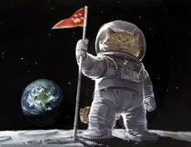 Googled cat astronaut Was not dissapointed