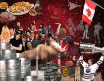 Googled Most Canadian Picture Was not disappointed Sorry