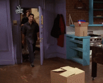 Googled the most glorious gif of all time was not disappointed