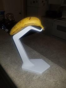 Got a banana stand today this was worth the money