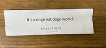 got an unexpected fortune at the end of my lunch today