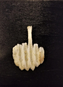 Got into a fight with my bag of potato chips First chip pulled out was a sassy little bastard Wasnt taken that I ate him