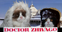 Grumpy Cat and her brother do Dr Zhivago