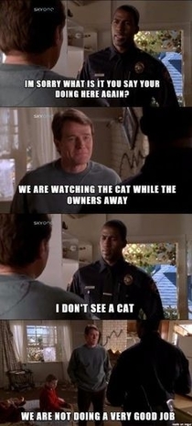 Hal the greatest cat watcher