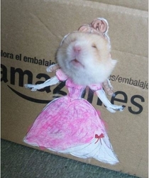 Hamster Princess