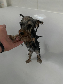 Hannahs first bath
