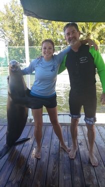 Happy seal touched the butt