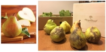 Harry amp David pears Arrived fresh today