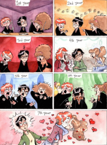 Harry Potter Ron and Hermione through the years