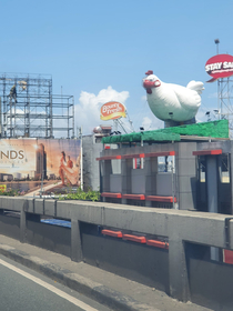 Have you seen a giant chicken wearing a facemask and face shield