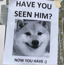 Have you seen him
