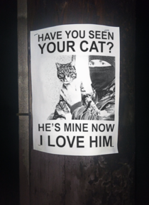 Have You Seen Your Cat