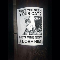 Have you seen your cat