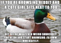 Hello everyone I wanted to give some advice to reddit so I made an Actual Advice Mallard meme for all of you