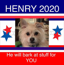 Henry approves this message