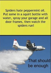 Here is a tip to rid yourself of spiders