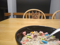 Hes always after me lucky charms