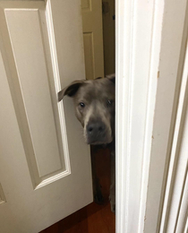 Hey I see youre in the bathroom need any company in there