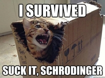 Hey Schrdinger Whats coming out of that box