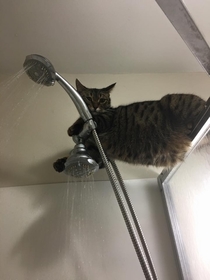 Hey what are you doing You taking a shower Thats cool Ill just hang out here