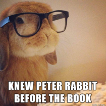 Hipster Bunnys library collection is better than yours