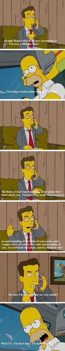 Homer the pilot