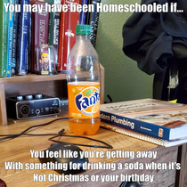 Homeschooling before the whole world started doing it