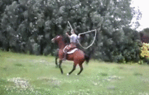 Horse playing jump rope
