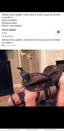 Horse saddle for sale