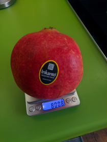 How heavy is the pomegranate  BOOB