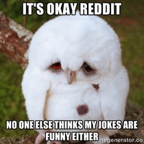 How I feel most of the time on reddit