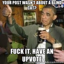 How I feel when I go on reddit these past couple of days
