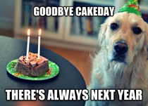 How I feel when I realize at pm that its my cakeday