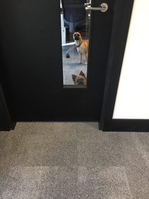 How I was greeted in the office one morning