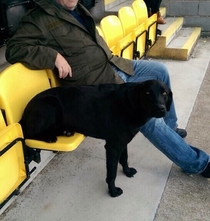 How my dog likes to sit at football with my dad
