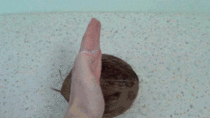 How to break a coconut in half with your bare hands