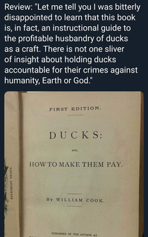 How to make ducks pay