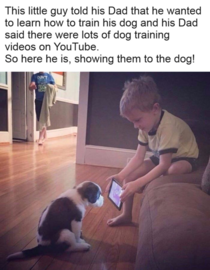 How to train your dog