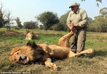 How to turn off a lion