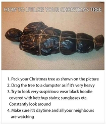 How to utilize your old Christmas tree