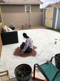 Husband found me painting the patio A for strategy