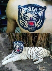 Hyper realistic tiger tattoo