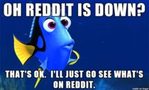 I always thought I would never turn into a Forgetful Dory I was mistaken