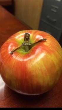 I AM FROOT