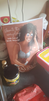 I and my family just keep sticking googly eyes on stuff around the house for giggles
